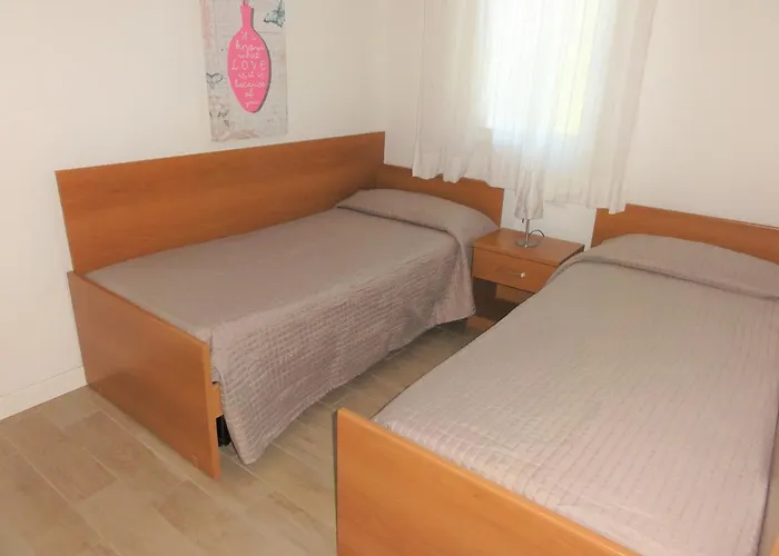 Dogi Sud 20