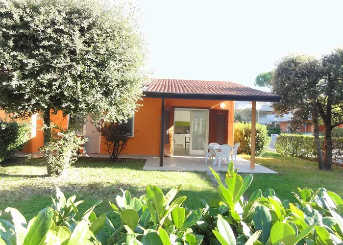 Dogi Sud 20 *